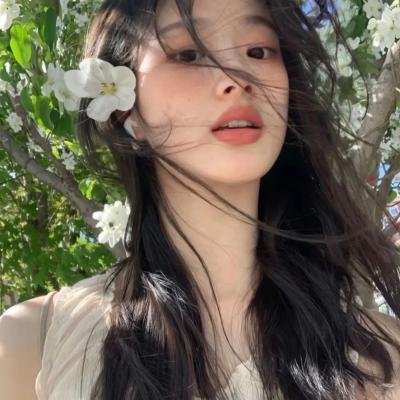 哈吉布基的森林冒险 在线观看