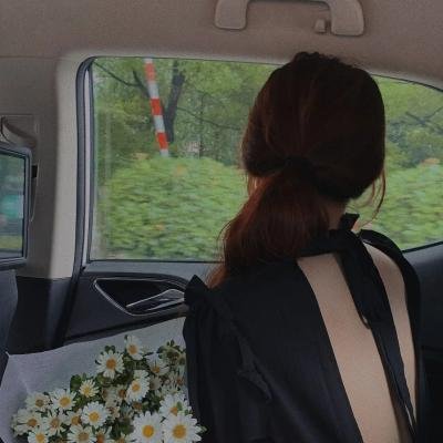 苍蝇 在线观看